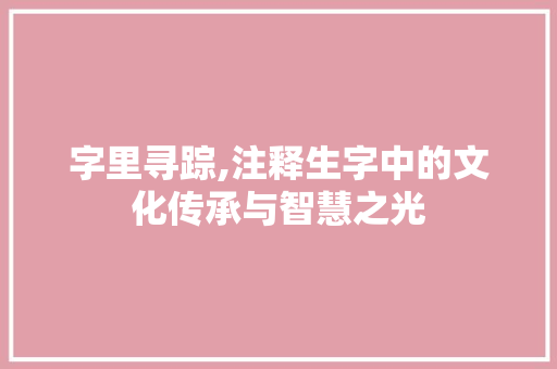字里寻踪,注释生字中的文化传承与智慧之光