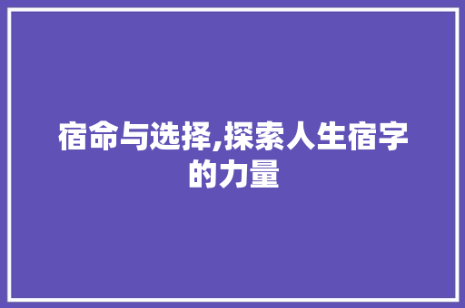 宿命与选择,探索人生宿字的力量