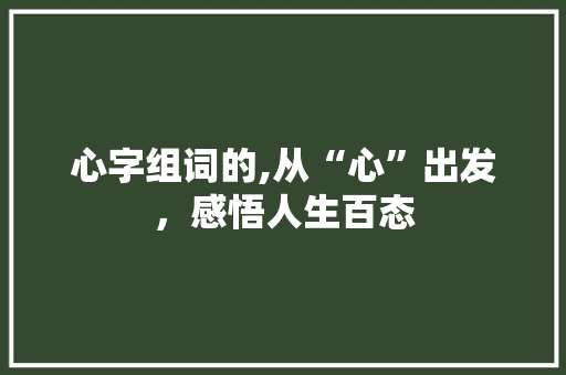 心字组词的,从“心”出发，感悟人生百态