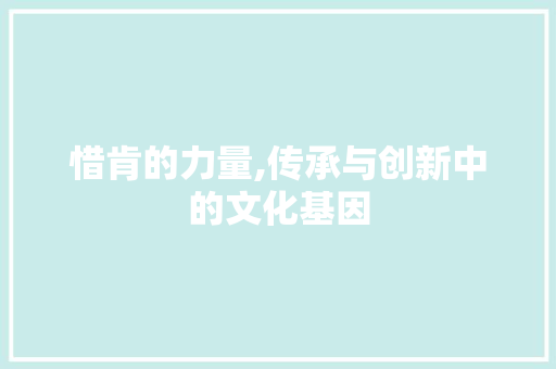 惜肯的力量,传承与创新中的文化基因 诗歌创作