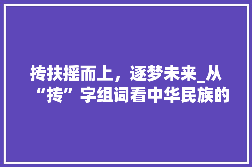 抟扶摇而上，逐梦未来_从“抟”字组词看中华民族的奋斗精神 报告写作