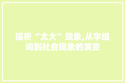 探析“太大”现象,从字组词到社会现象的演变 词汇积累