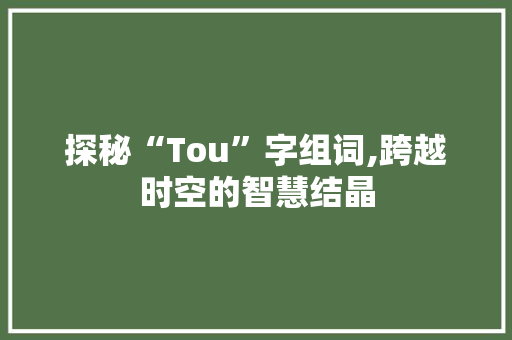 探秘“Tou”字组词,跨越时空的智慧结晶 简历模板