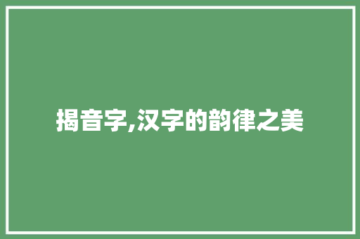 揭音字,汉字的韵律之美 简历模板