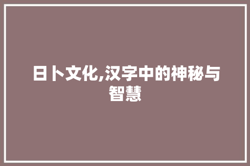 日卜文化,汉字中的神秘与智慧 简历模板