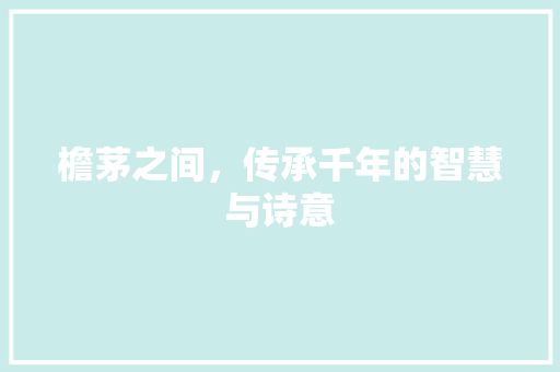 檐茅之间，传承千年的智慧与诗意 报告写作