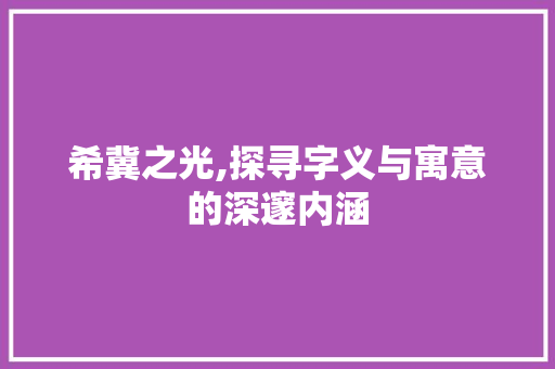 希冀之光,探寻字义与寓意的深邃内涵 简历模板