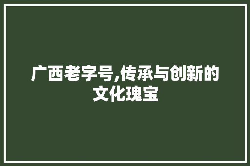 广西老字号,传承与创新的文化瑰宝