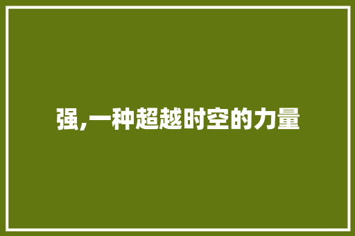 强,一种超越时空的力量