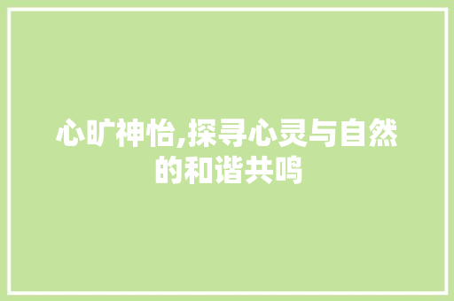 心旷神怡,探寻心灵与自然的和谐共鸣 写作技巧