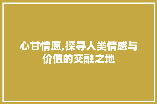 心甘情愿,探寻人类情感与价值的交融之地