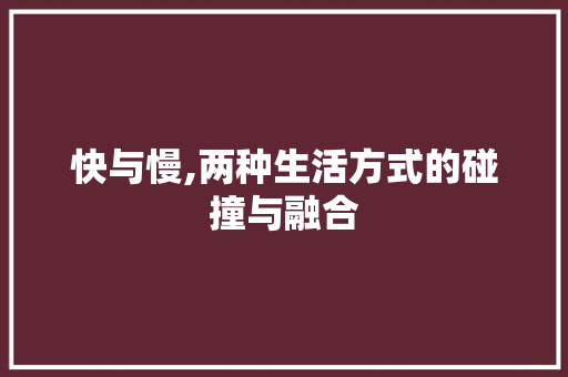 快与慢,两种生活方式的碰撞与融合