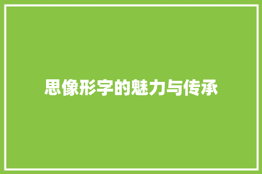 思像形字的魅力与传承