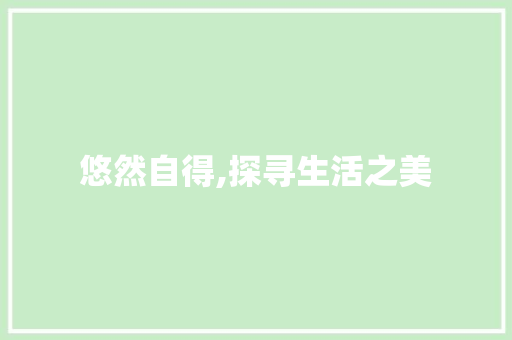 悠然自得,探寻生活之美 写作技巧