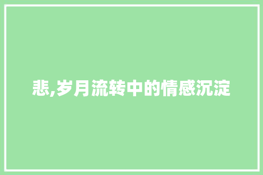 悲,岁月流转中的情感沉淀 词汇积累