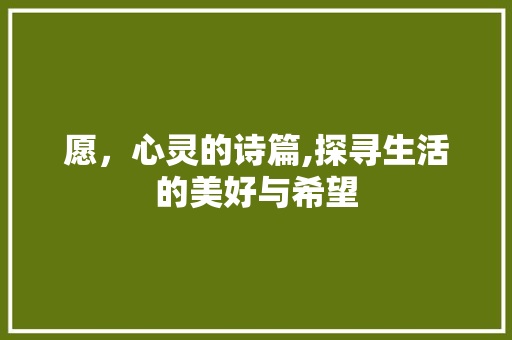 愿，心灵的诗篇,探寻生活的美好与希望