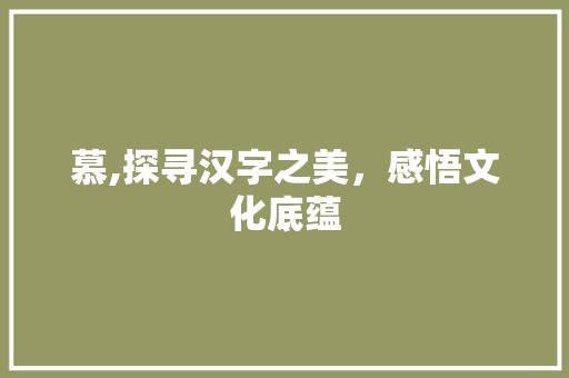 慕,探寻汉字之美，感悟文化底蕴