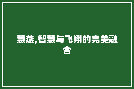 慧燕,智慧与飞翔的完美融合