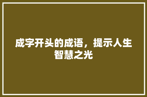 成字开头的成语，提示人生智慧之光
