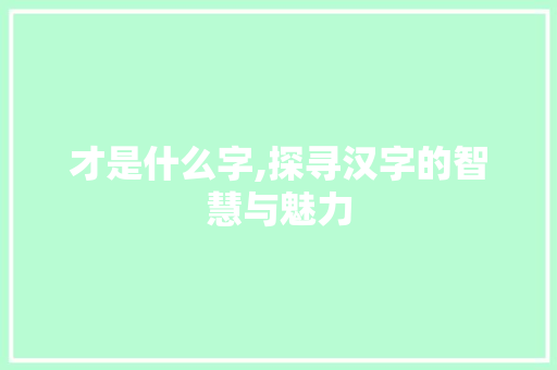 才是什么字,探寻汉字的智慧与魅力