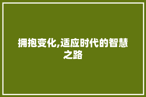 拥抱变化,适应时代的智慧之路
