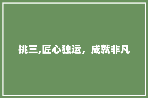 挑三,匠心独运，成就非凡