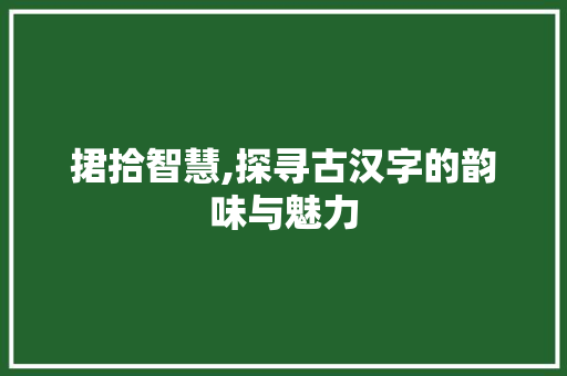 捃拾智慧,探寻古汉字的韵味与魅力