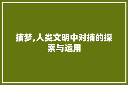 捕梦,人类文明中对捕的探索与运用