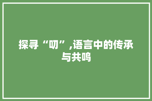 探寻“叨”,语言中的传承与共鸣