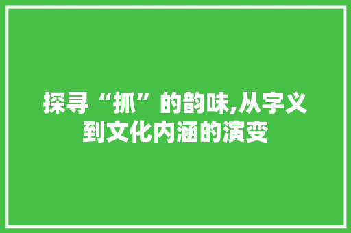 探寻“抓”的韵味,从字义到文化内涵的演变