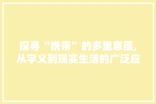 探寻“携带”的多重意蕴,从字义到现实生活的广泛应用