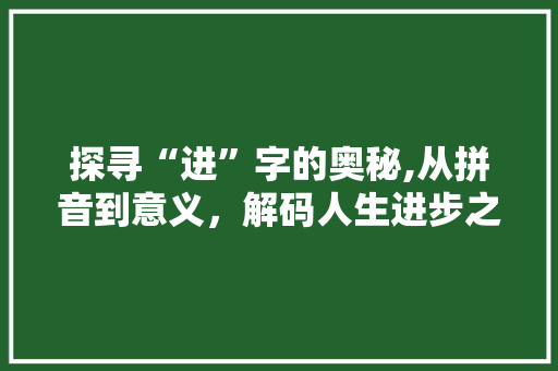 探寻“进”字的奥秘,从拼音到意义，解码人生进步之路