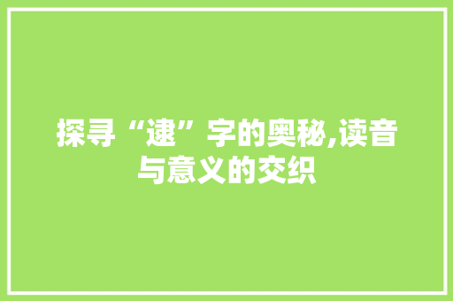 探寻“逮”字的奥秘,读音与意义的交织 商业文案