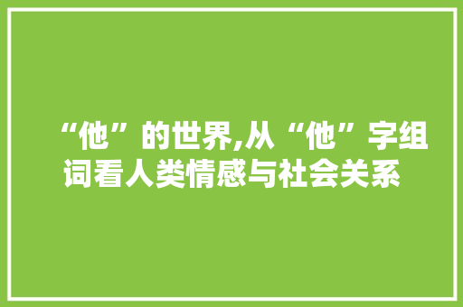 “他”的世界,从“他”字组词看人类情感与社会关系