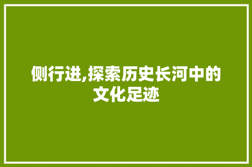 侧行进,探索历史长河中的文化足迹 商业文案