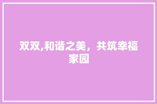 双双,和谐之美，共筑幸福家园 报告写作