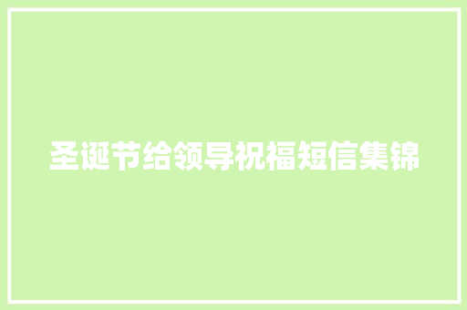 圣诞节给领导祝福短信集锦