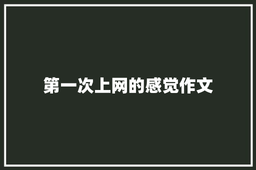 第一次上网的感觉作文