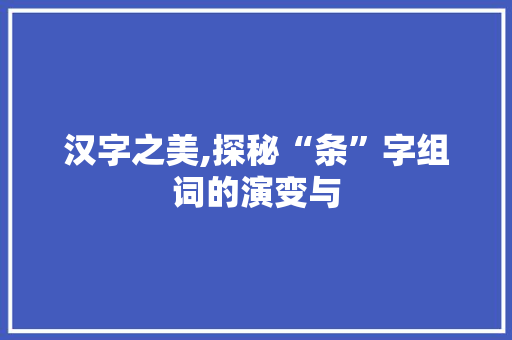 汉字之美,探秘“条”字组词的演变与