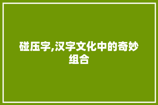 碰压字,汉字文化中的奇妙组合 词汇积累