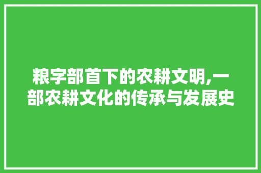 粮字部首下的农耕文明,一部农耕文化的传承与发展史