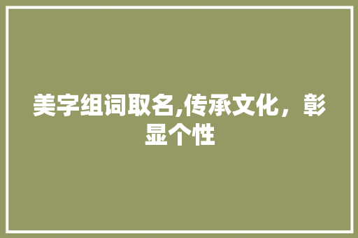 美字组词取名,传承文化，彰显个性