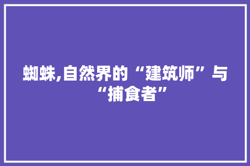 蜘蛛,自然界的“建筑师”与“捕食者”