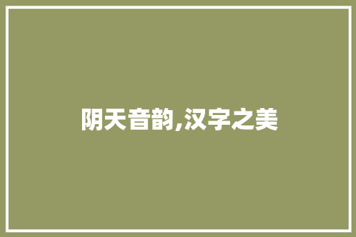 阴天音韵,汉字之美 报告写作