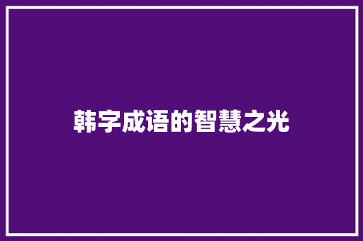 韩字成语的智慧之光 写作技巧