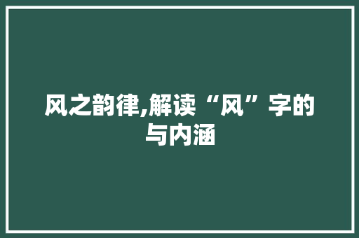 风之韵律,解读“风”字的与内涵