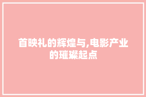 首映礼的辉煌与,电影产业的璀璨起点