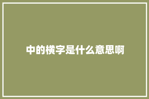 中的横字是什么意思啊