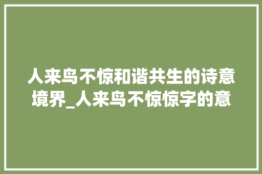 人来鸟不惊和谐共生的诗意境界_人来鸟不惊惊字的意思