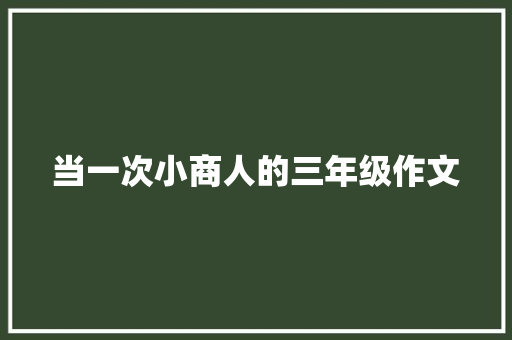 当一次小商人的三年级作文